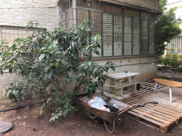 דירת 1.5 חדרים ברח’ בן שפרוט