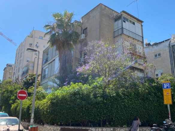 הבניין ברח' דוד ילין