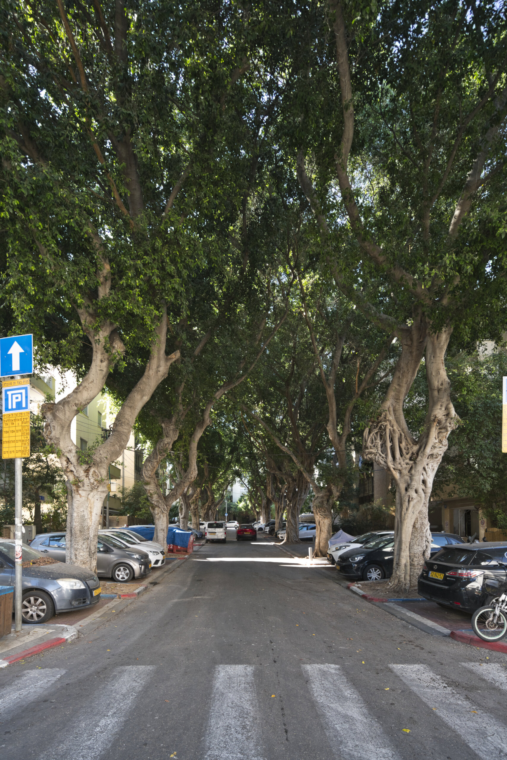 מיקום מושלם