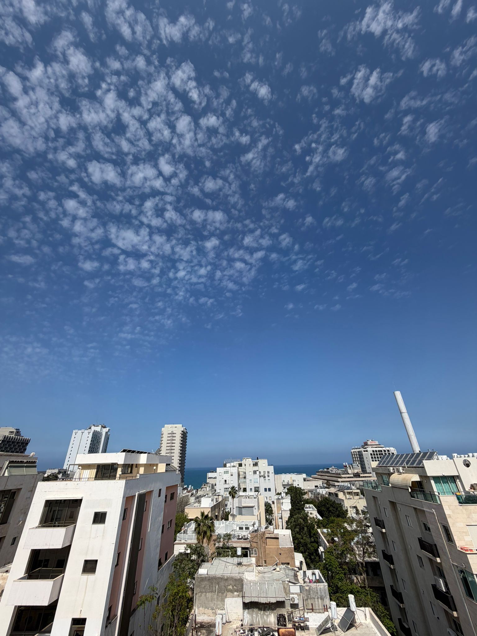 נוף לים